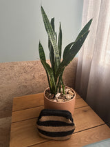 CIE CIE HANDWOVEN CLUTCH - TAN/BLACK